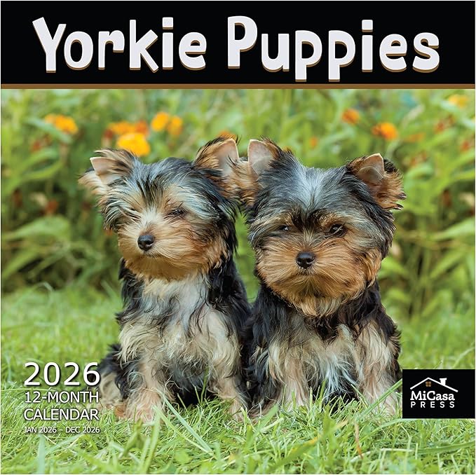 MICASA PRESS Yorkie Puppies Yorkshire Terriers 2026 Wall Calendar 12 Month | 12" x 24" Open | Thick & Sturdy Paper | Holiday Gift | Cute Puppy Dog Calendar 2026