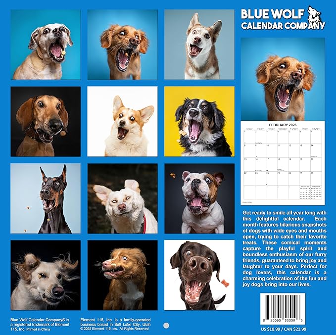 2026 Treat Time Monthly Wall Calendar | Funny Dogs Calendar September 2025 - December 2026