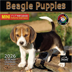 MICASA PRESS Beagle Puppies 2026 Mini Wall Calendar 12 Month | 7" x 14" Open | Thick & Sturdy Paper | Holiday Gift | Cute Puppy Dog Calendar 2026