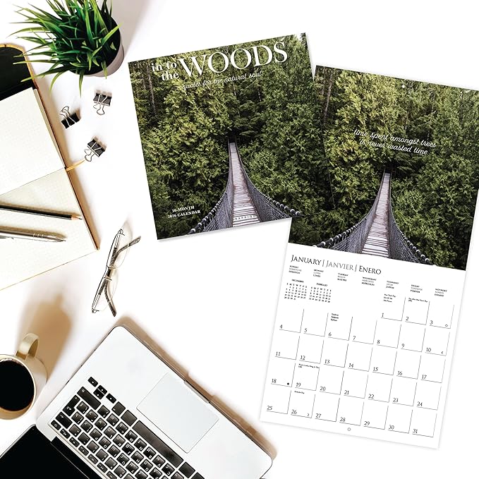 Graphique 2026 Into the Woods Wall Calendar | 12” x 12” | Thick Paper | Home & Office Organizer | Large Monthly Grid | 3 Languages & Marked Holidays | 4 Month Preview Page for 2027