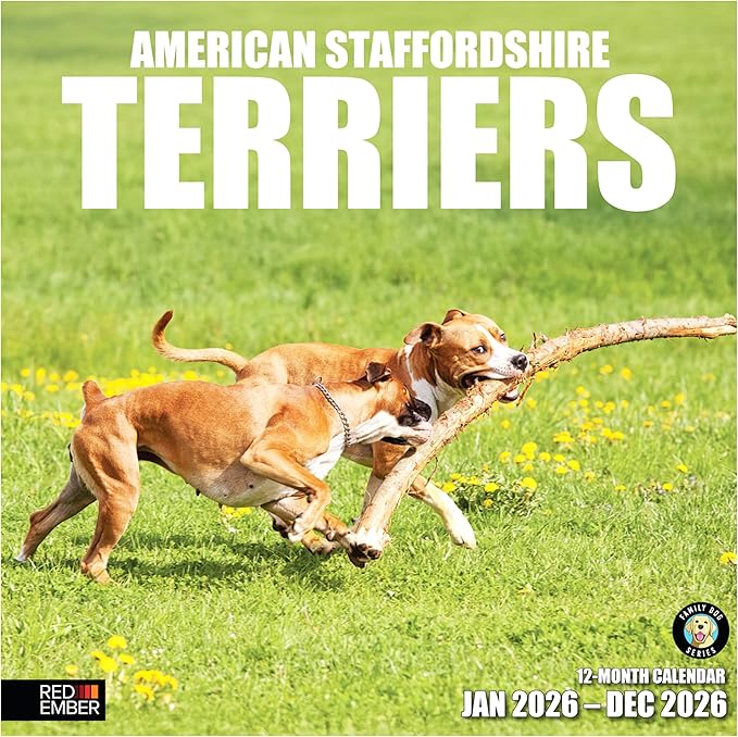 RED EMBER American Staffordshire Terriers 2026 Wall Calendar 12 Month | 12" x 24" Open | Thick & Sturdy Paper | Holiday Gift | Cute Puppy Dog Calendar 2026
