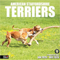 RED EMBER American Staffordshire Terriers 2026 Wall Calendar 12 Month | 12" x 24" Open | Thick & Sturdy Paper | Holiday Gift | Cute Puppy Dog Calendar 2026