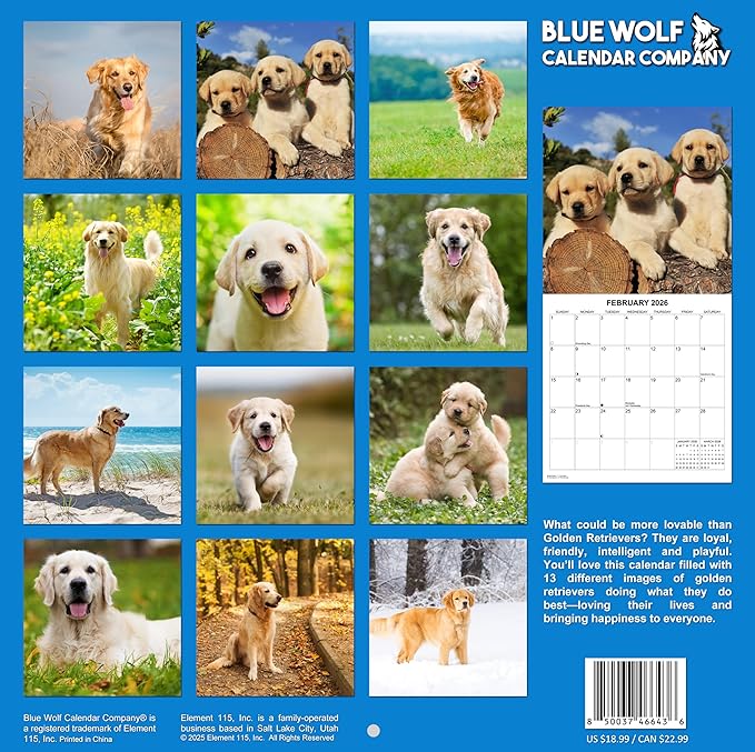 2026 Golden Retrievers Monthly Wall Calendar | Cute Dogs Calendar September 2025 - December 2026