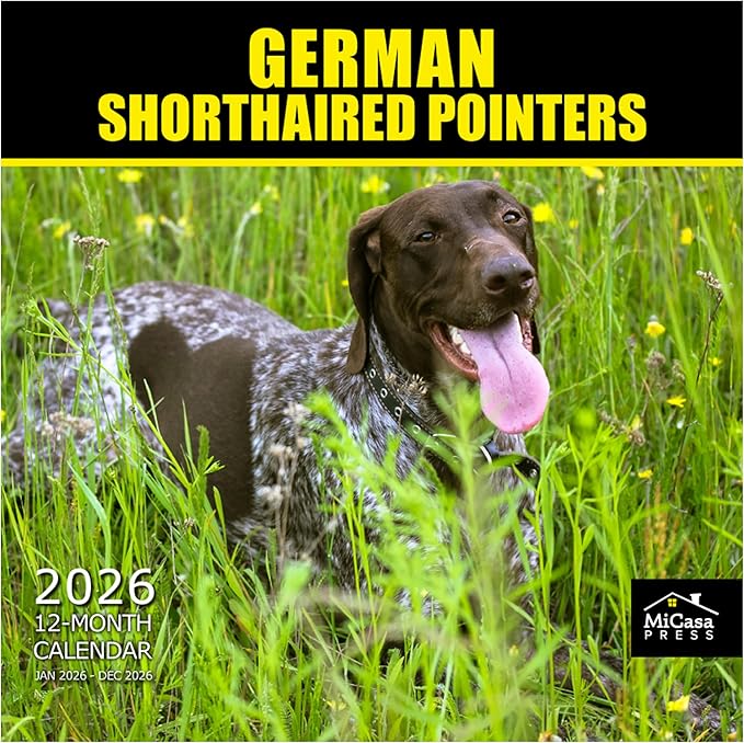 MICASA PRESS German Shorthaired Pointers 2026 Wall Calendar 12 Month | 12" x 24" Open | Thick & Sturdy Paper | Holiday Gift | Cute GSP Puppy Dog Calendar 2026