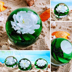 EUSTUMA Hand Blown Glass Flower Paperweight Figurine for Office Desk.Give You A Gift from The Person You Love, The Garden Decoration.(White Lotus Leaves)