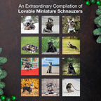 MICASA PRESS Miniature Schnauzers 2026 Wall Calendar 12 Month | 12" x 24" Open | Thick & Sturdy Paper | Holiday Gift | Cute Puppy Dog Calendar 2026
