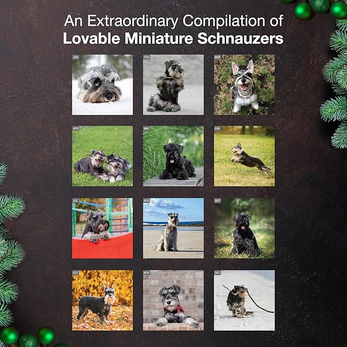 MICASA PRESS Miniature Schnauzers 2026 Wall Calendar 12 Month | 12" x 24" Open | Thick & Sturdy Paper | Holiday Gift | Cute Puppy Dog Calendar 2026