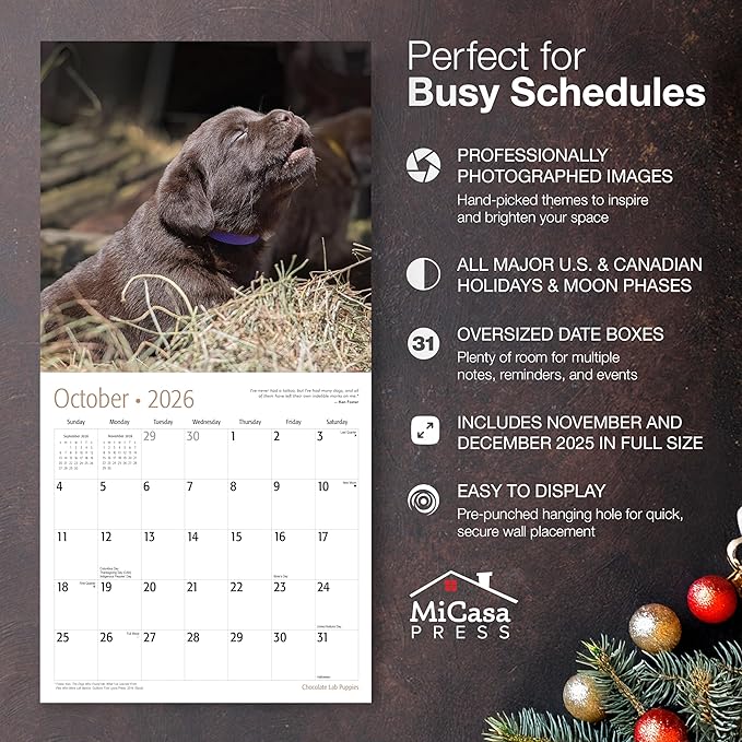 MICASA PRESS Chocolate Lab Puppies 2026 Wall Calendar 12 Month | 12" x 24" Open | Thick & Sturdy Paper | Holiday Gift | Cute Labrador Retriever Puppy Dog Calendar 2026