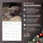 MICASA PRESS Chocolate Lab Puppies 2026 Wall Calendar 12 Month | 12" x 24" Open | Thick & Sturdy Paper | Holiday Gift | Cute Labrador Retriever Puppy Dog Calendar 2026