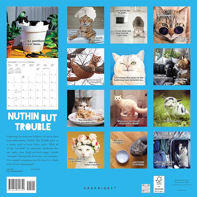 Graphique 2026 Nuthin' But Trouble Wall Calendar | 12” x 12” | Thick Paper | Home & Office Organizer | Large Monthly Grid | 3 Languages & Marked Holidays | 4 Month Preview Page for 2027