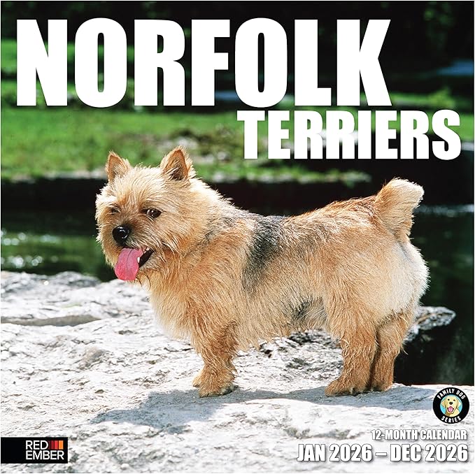 RED EMBER Norfolk Terriers 2026 Wall Calendar 12 Month | 12" x 24" Open | Thick & Sturdy Paper | Holiday Gift | Cute Puppy Dog Calendar 2026