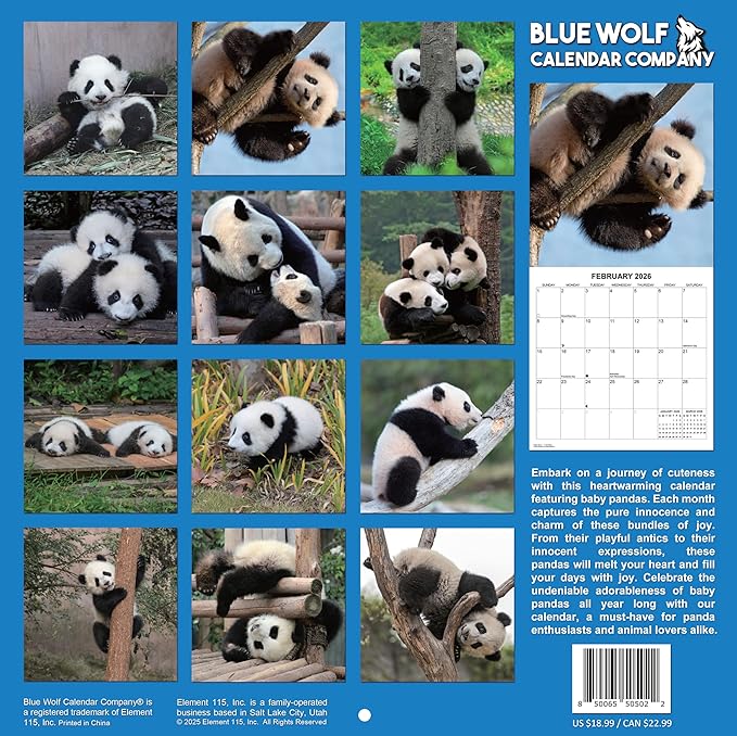 2026 Baby Pandas Monthly Wall Calendar | Cute Baby Animals Calendar 2025-2026