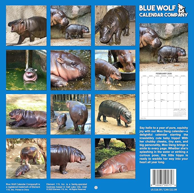 2026 Moo Deng Monthly Wall Calendar | Pygmy Hippopotamus Animal Calendar 2025-2026