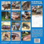 2026 Moo Deng Monthly Wall Calendar | Pygmy Hippopotamus Animal Calendar 2025-2026