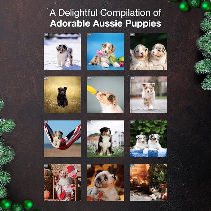 MICASA PRESS Aussie Puppies Australian Shepherds 2026 Wall Calendar 12 Month | 12" x 24" Open | Thick & Sturdy Paper | Holiday Gift | Cute Puppy Dog Calendar 2026