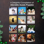 MICASA PRESS Aussie Puppies Australian Shepherds 2026 Wall Calendar 12 Month | 12" x 24" Open | Thick & Sturdy Paper | Holiday Gift | Cute Puppy Dog Calendar 2026