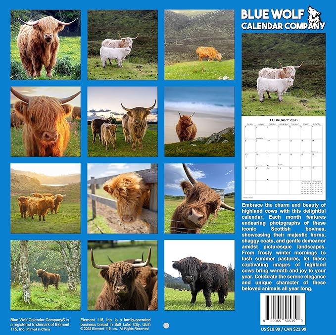2026 Highland Cows Monthly Wall Calendar | Cute Animals Calendar 2025-2026