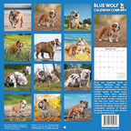 2026 English Bulldogs Monthly Wall Calendar | Cute Dogs Calendar September 2025 - December 2026