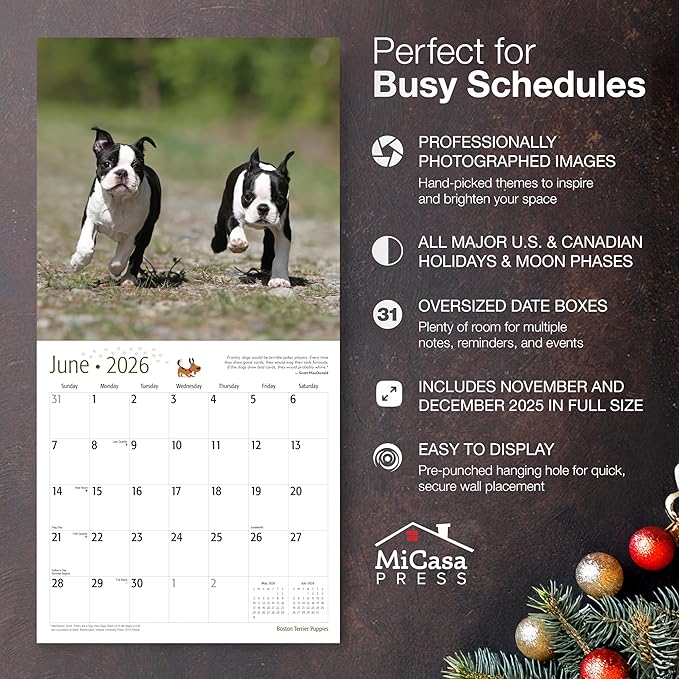 MICASA PRESS Boston Terrier Puppies 2026 Wall Calendar 12 Month | 12" x 24" Open | Thick & Sturdy Paper | Holiday Gift | Cute Puppy Dog Calendar 2026