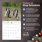 MICASA PRESS Boston Terrier Puppies 2026 Wall Calendar 12 Month | 12" x 24" Open | Thick & Sturdy Paper | Holiday Gift | Cute Puppy Dog Calendar 2026