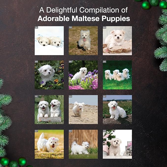 MICASA PRESS Maltese Puppies 2026 Wall Calendar 12 Month | 12" x 24" Open | Thick & Sturdy Paper | Holiday Gift | Cute Puppy Dog Calendar 2026