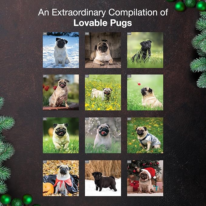 MICASA PRESS Pugs 2026 Wall Calendar 12 Month | 12" x 24" Open | Thick & Sturdy Paper | Holiday Gift | Cute Puppy Dog Calendar 2026