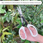 LOOPSEED Precision Gardening Scissors Plant Trimming Pruning Shears Garden Pruners for Orchid Bonsai Hydroponic Flower Clipper Garden Snip 8 Inch Long