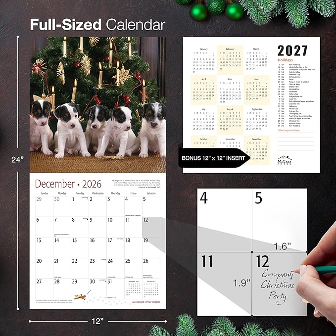 MICASA PRESS Jack Russell Terrier Puppies 2026 Wall Calendar 12 Month | 12" x 24" Open | Thick & Sturdy Paper | Holiday Gift | Cute Puppy Dog Calendar 2026