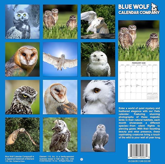 2026 Owls Monthly Wall Calendar | Animals Calendar 2025-2026