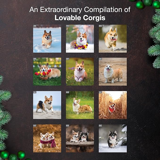 MICASA PRESS Corgis 2026 Wall Calendar 12 Month | 12" x 24" Open | Thick & Sturdy Paper | Holiday Gift | Cute Puppy Dog Calendar 2026