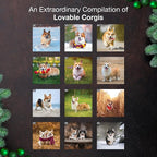 MICASA PRESS Corgis 2026 Wall Calendar 12 Month | 12" x 24" Open | Thick & Sturdy Paper | Holiday Gift | Cute Puppy Dog Calendar 2026