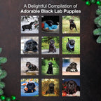 MICASA PRESS Black Lab Puppies 2026 Wall Calendar 12 Month | 12" x 24" Open | Thick & Sturdy Paper | Holiday Gift | Cute Labrador Retriever Puppy Dog Calendar 2026