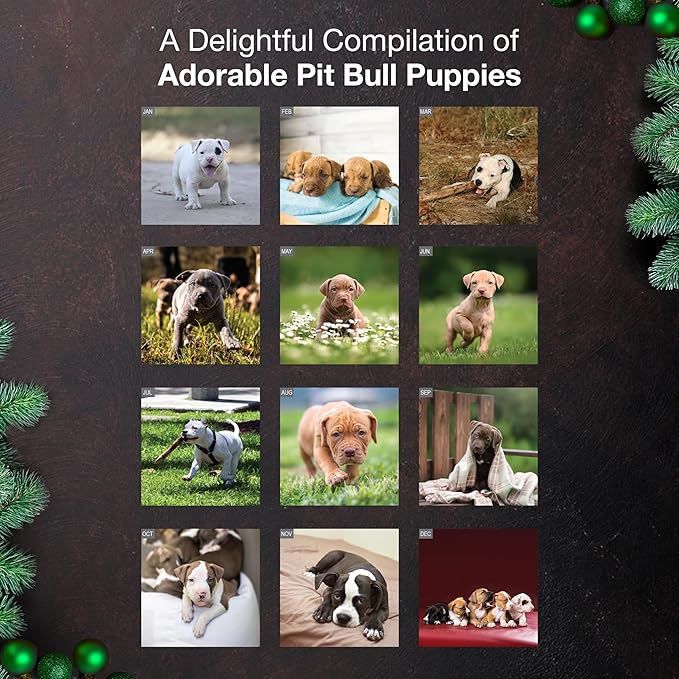 MICASA PRESS Pit Bull Puppies 2026 Wall Calendar 12 Month | 12" x 24" Open | Thick & Sturdy Paper | Holiday Gift | Cute Puppy Dog Calendar 2026