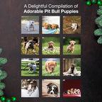 MICASA PRESS Pit Bull Puppies 2026 Wall Calendar 12 Month | 12" x 24" Open | Thick & Sturdy Paper | Holiday Gift | Cute Puppy Dog Calendar 2026