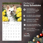 MICASA PRESS Chihuahuas 2026 Wall Calendar 12 Month | 12" x 24" Open | Thick & Sturdy Paper | Holiday Gift | Cute Puppy Dog Calendar 2026