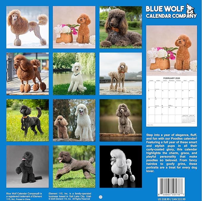 2026 Poodles Monthly Wall Calendar | Dog 2026 Wall Calendar 2025-2026