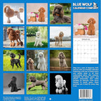 2026 Poodles Monthly Wall Calendar | Dog 2026 Wall Calendar 2025-2026