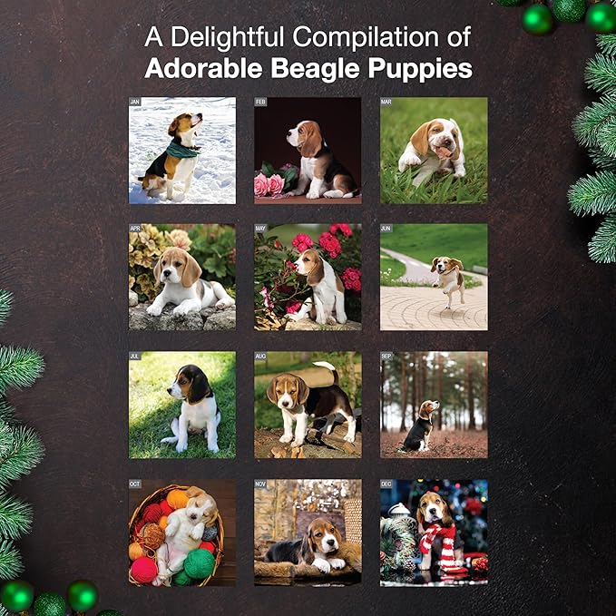MICASA PRESS Beagle Puppies 2026 Mini Wall Calendar 12 Month | 7" x 14" Open | Thick & Sturdy Paper | Holiday Gift | Cute Puppy Dog Calendar 2026