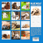 2026 Dog & Cat Friends Monthly Wall Calendar | Cute Animals Calendar 2025-2026