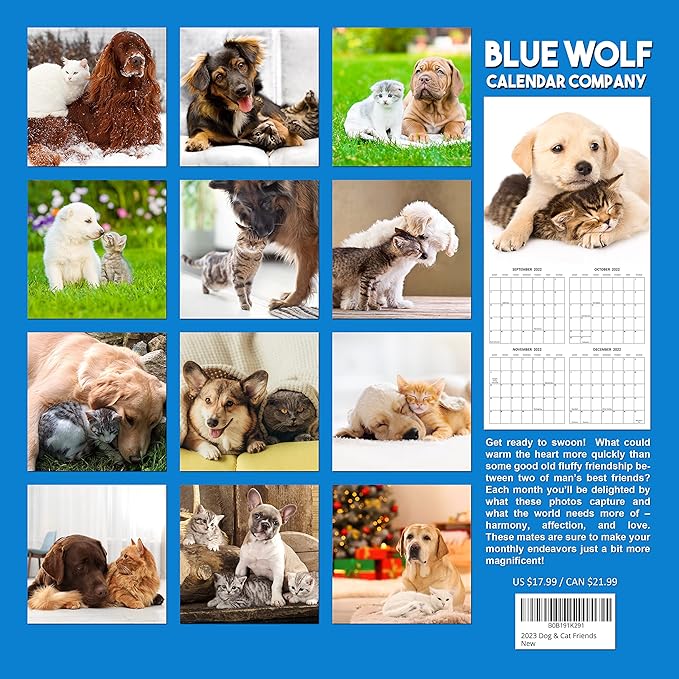 2026 Dog & Cat Friends Monthly Wall Calendar | Cute Animals Calendar 2025-2026