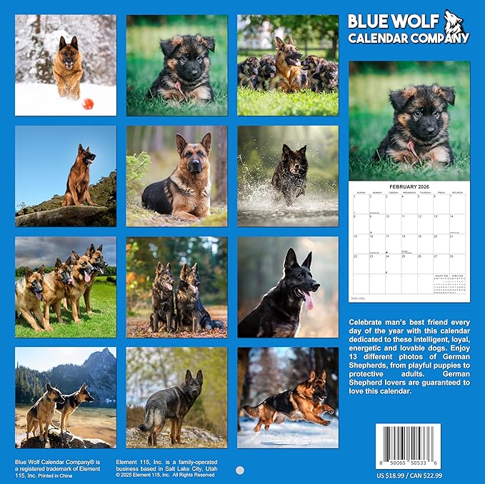 2026 German Shepherds Monthly Wall Calendar | Dog Calendar September 2025 - December 2026