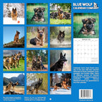 2026 German Shepherds Monthly Wall Calendar | Dog Calendar September 2025 - December 2026