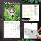 MICASA PRESS Siberian Husky Puppies 2026 Wall Calendar 12 Month | 12" x 24" Open | Thick & Sturdy Paper | Holiday Gift | Cute Puppy Dog Calendar 2026