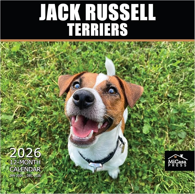 MICASA PRESS Jack Russell Terriers 2026 Wall Calendar 12 Month | 12" x 24" Open | Thick & Sturdy Paper | Holiday Gift | Cute Puppy Dog Calendar 2026