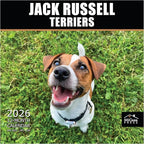 MICASA PRESS Jack Russell Terriers 2026 Wall Calendar 12 Month | 12" x 24" Open | Thick & Sturdy Paper | Holiday Gift | Cute Puppy Dog Calendar 2026