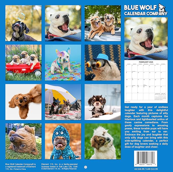 2026 Silly Dogs Monthly Wall Calendar | Funny Dogs Calendar September 2025 - December 2026
