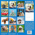 2026 Silly Dogs Monthly Wall Calendar | Funny Dogs Calendar September 2025 - December 2026