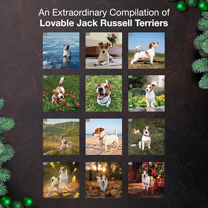 MICASA PRESS Jack Russell Terriers 2026 Wall Calendar 12 Month | 12" x 24" Open | Thick & Sturdy Paper | Holiday Gift | Cute Puppy Dog Calendar 2026