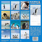 2026 Penguins Monthly Wall Calendar | Cute Animals Calendar 2025-2026