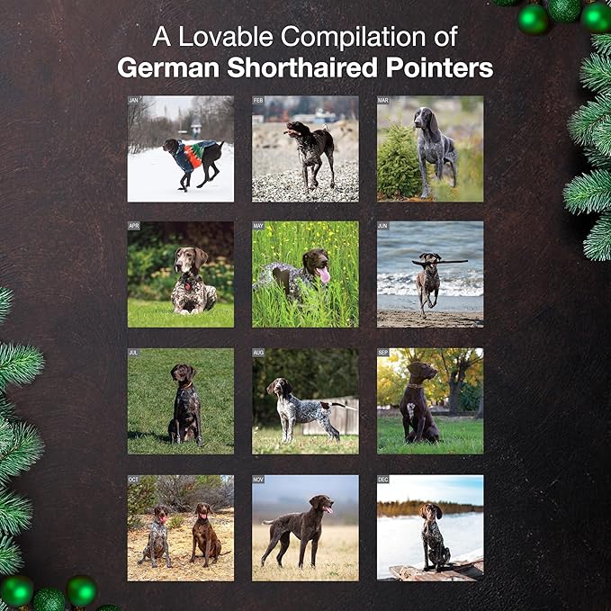 MICASA PRESS German Shorthaired Pointers 2026 Wall Calendar 12 Month | 12" x 24" Open | Thick & Sturdy Paper | Holiday Gift | Cute GSP Puppy Dog Calendar 2026
